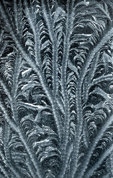 Frost Patterns 080_11