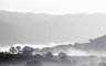 Newlands Valley Mist 077_13