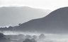 Newlands Valley Mist 077_23