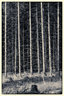 Pine Trees Mono D810_012_1216