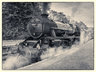 Steam Train Mono G11_269_7502-1
