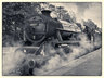 Steam Train Mono G11_269_7525-1