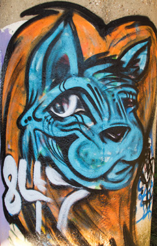 Graffiti G212_5733
