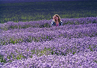 Girl In Lavender Field 530_10