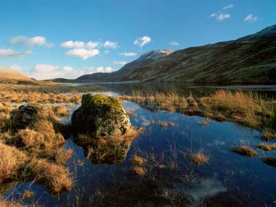 Loch Moidart 368_06