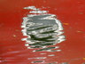 Canal Reflections C001_0566