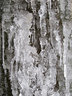 Ice Formations G048_1318