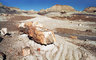 Petrified Forest 430_04