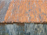 Tin Roof G11_269_7316-1
