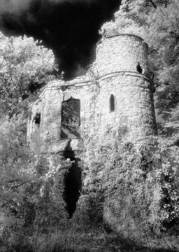 Dinton Castle 087_34