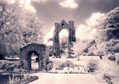 Walsingham Abbey 496_09